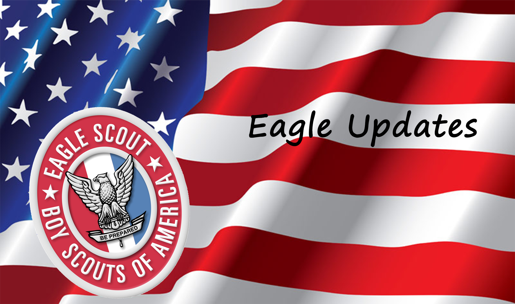 Eagle Scout Progress